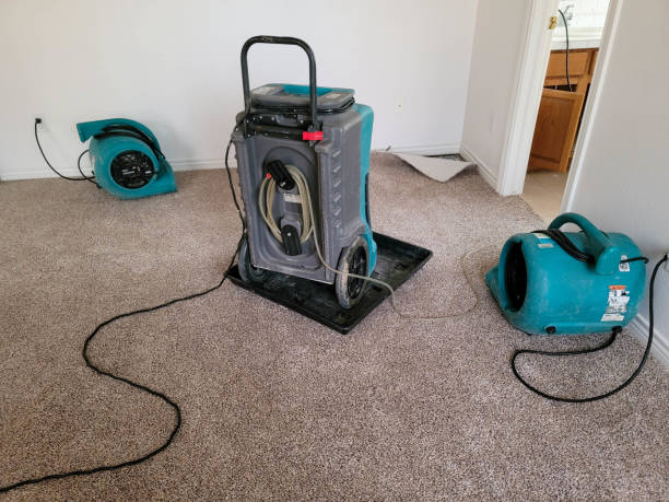 Water damage restoration process in Willow Grove, TX
