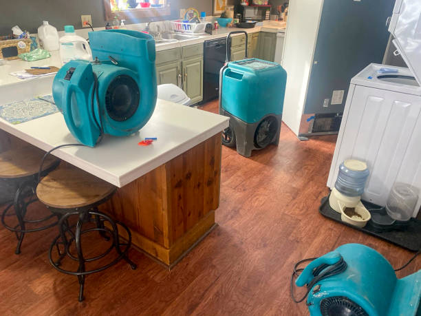 Best Basement water damage restoration  in Willow Grove, TX