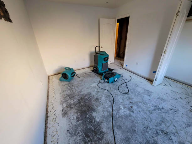 Best Basement water damage restoration  in Willow Grove, TX