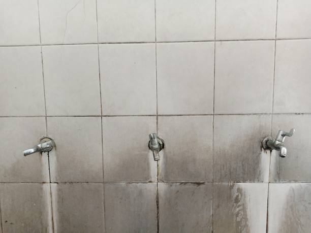 Best Water damage contractors near me  in Willow Grove, TX
