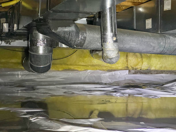 Best Water damage restoration near me  in Willow Grove, TX