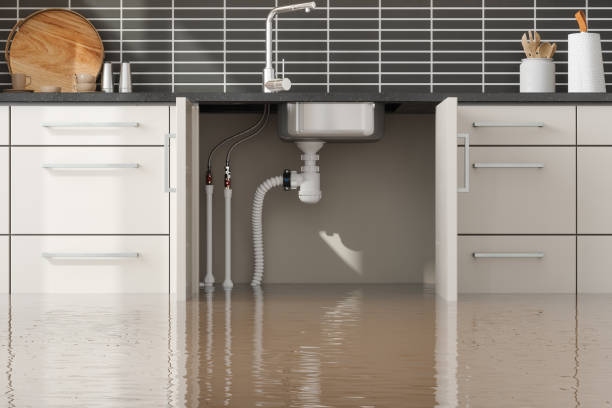 Best Commercial water damage restoration  in Willow Grove, TX