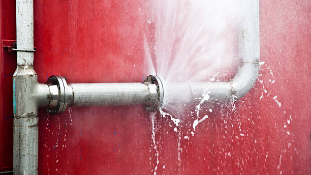 Best Emergency water extraction  in Willow Grove, TX